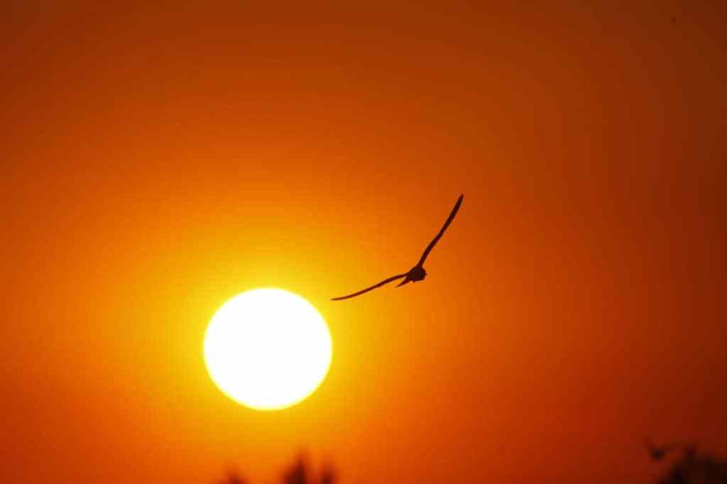 Mississippi Hottest Septembers in Mississippi since 1895