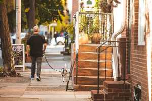 Cozy season index: Best cities for walkable fall living
